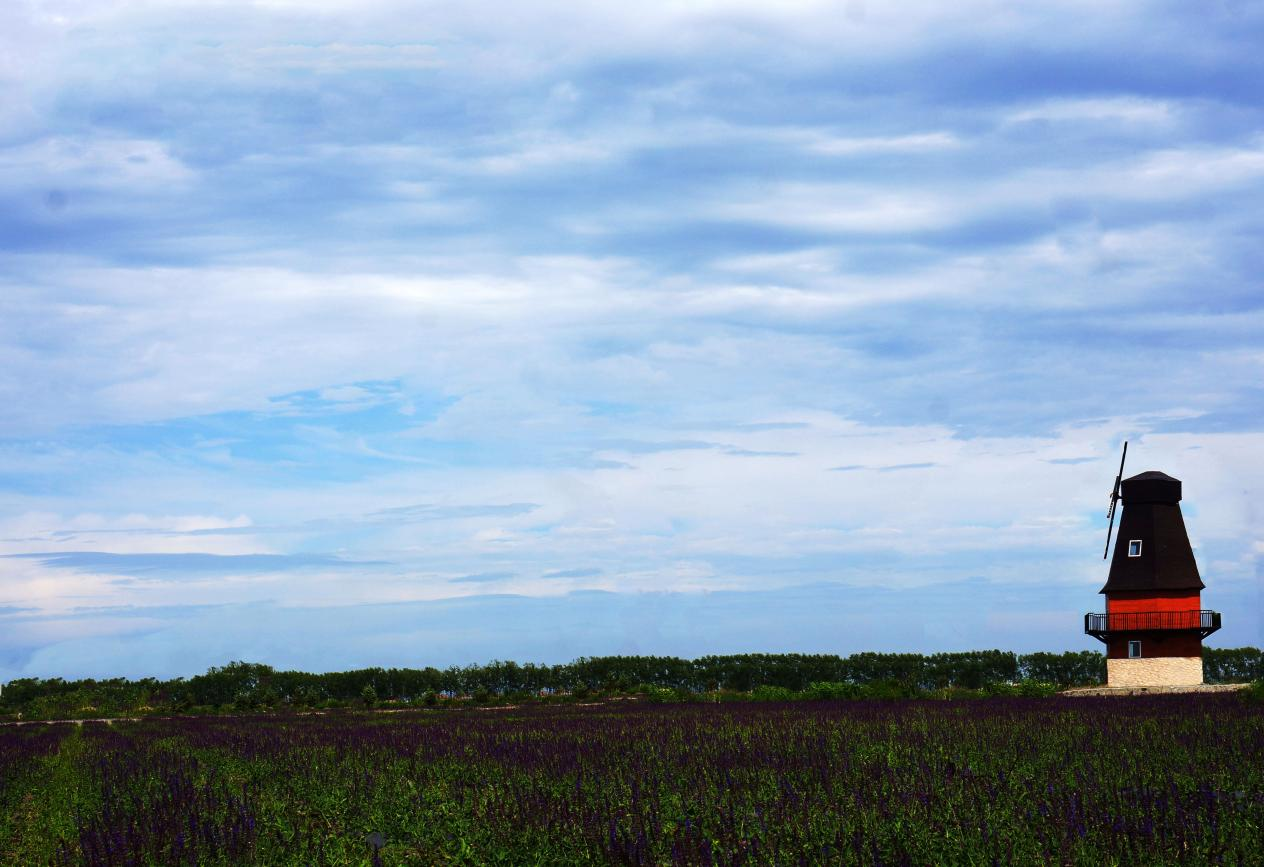 1711006654885276.png 圖片14.png